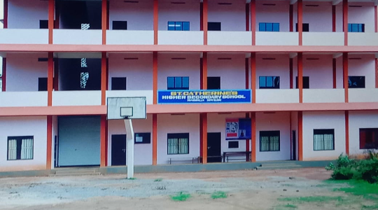 School